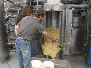 learning aboot malt