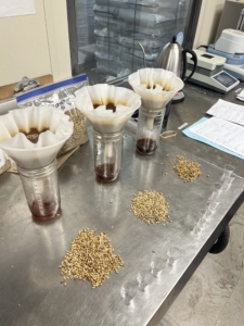 crystal malt