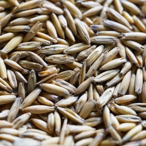 Hulled Oats
