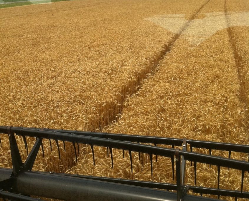 Riverbend-Malt-House-Batey-Farms