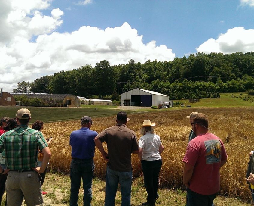 Riverbend-Malt-House-NCSU-Field-Day-2015