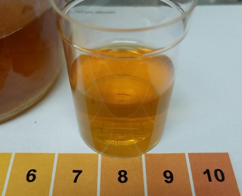 Riverbend-Malt-House-wort-color-assessment